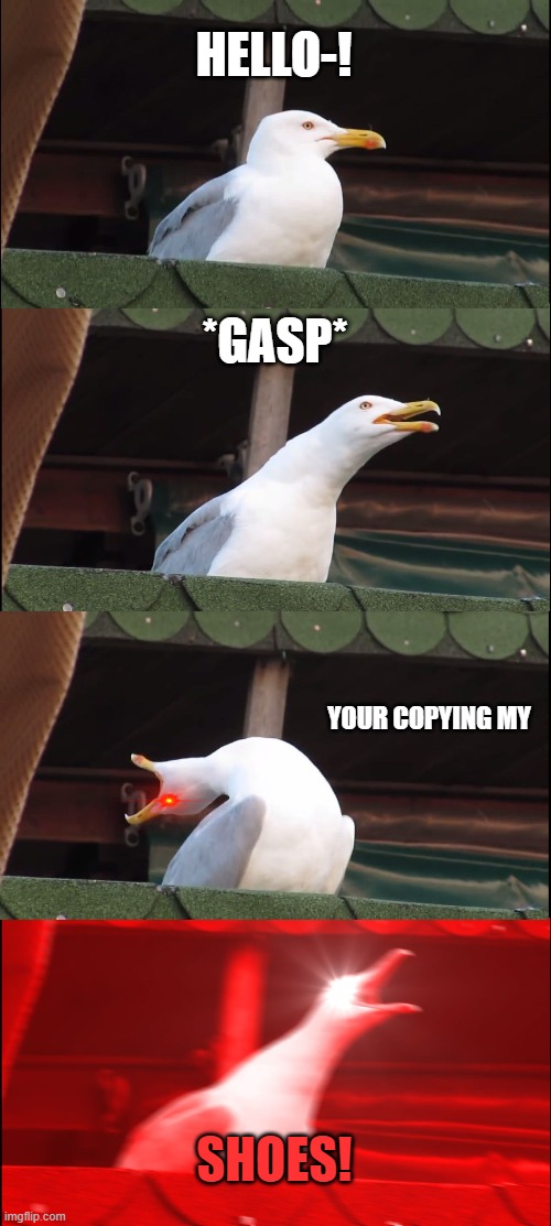 All people in adopt me be like | HELLO-! *GASP*; YOUR COPYING MY; SHOES! | image tagged in memes,inhaling seagull | made w/ Imgflip meme maker