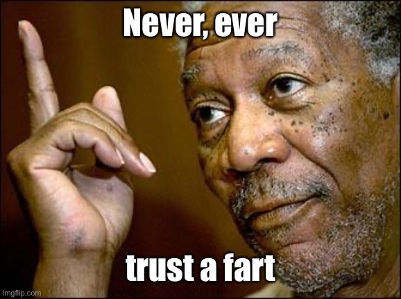 This Morgan Freeman | Never, ever trust a fart | image tagged in this morgan freeman | made w/ Imgflip meme maker