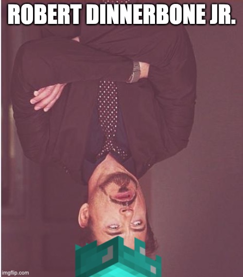 ROBERT DINNERBONE JR. | made w/ Imgflip meme maker