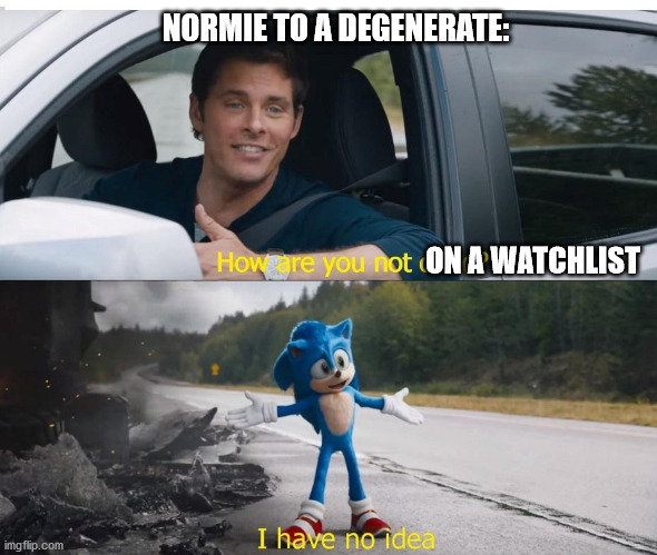 sonic how are you not dead | NORMIE TO A DEGENERATE:; ON A WATCHLIST | image tagged in sonic how are you not dead | made w/ Imgflip meme maker