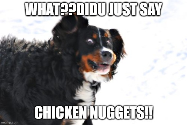 Crazy Dawg Meme | WHAT??DIDU JUST SAY; CHICKEN NUGGETS!! | image tagged in memes,crazy dawg | made w/ Imgflip meme maker