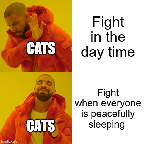 Drake Hotline Bling | Fight in the day time; CATS; Fight when everyone is peacefully sleeping; CATS | image tagged in memes,drake hotline bling | made w/ Imgflip meme maker