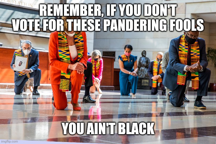 Sickening display of REAL privilege... | REMEMBER, IF YOU DON'T VOTE FOR THESE PANDERING FOOLS; YOU AIN'T BLACK | image tagged in democrats,joe biden,you ain't black,kneeling | made w/ Imgflip meme maker