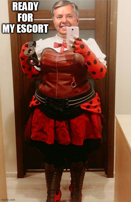 Republicans | READY FOR MY ESCORT | image tagged in lindsey graham,ladybug,costume,escorts,grindr,lgbtq | made w/ Imgflip meme maker