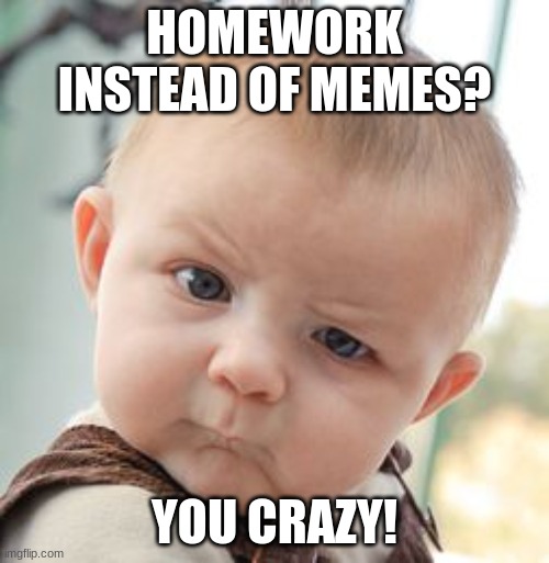 Skeptical Baby | HOMEWORK INSTEAD OF MEMES? YOU CRAZY! | image tagged in memes,skeptical baby | made w/ Imgflip meme maker