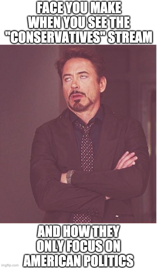 Unlike the "conservatives" stream, ConservativePolitics focuses on world politics | FACE YOU MAKE WHEN YOU SEE THE "CONSERVATIVES" STREAM; AND HOW THEY ONLY FOCUS ON AMERICAN POLITICS | image tagged in memes,face you make robert downey jr,funny,politics | made w/ Imgflip meme maker