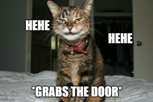 Evil Smile Cat | HEHE                                                                            HEHE *GRABS THE DOOR* | image tagged in evil smile cat | made w/ Imgflip meme maker