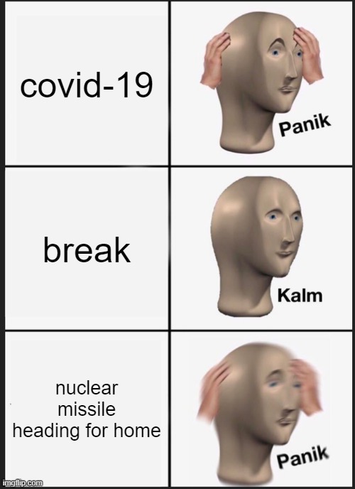 yes | covid-19; break; nuclear missile heading for home | image tagged in memes,panik kalm panik | made w/ Imgflip meme maker