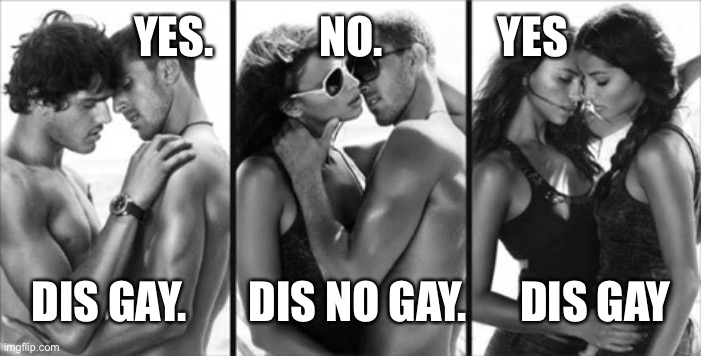 LGBTS | YES.            NO.             YES; DIS GAY.       DIS NO GAY.      DIS GAY | image tagged in lgbts | made w/ Imgflip meme maker