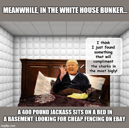 It's 'infrastructure week' at the White House....again ! | MEANWHILE, IN THE WHITE HOUSE BUNKER... I think I just found something that will compliment the sharks in the moat bigly! A 400 POUND JACKASS SITS ON A BED IN A BASEMENT, LOOKING FOR CHEAP FENCING ON EBAY | image tagged in trump is a moron,jackass,donald trump is an idiot,protesters | made w/ Imgflip meme maker