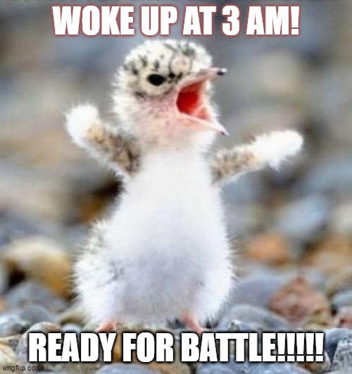 WOKE UP AT 3 AM |  WOKE UP AT 3 AM! READY FOR BATTLE!!!!! | image tagged in early bird | made w/ Imgflip meme maker