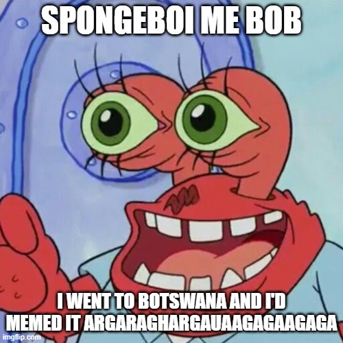 AHOY SPONGEBOB | SPONGEBOI ME BOB; I WENT TO BOTSWANA AND I'D MEMED IT ARGARAGHARGAUAAGAGAAGAGA | image tagged in ahoy spongebob | made w/ Imgflip meme maker