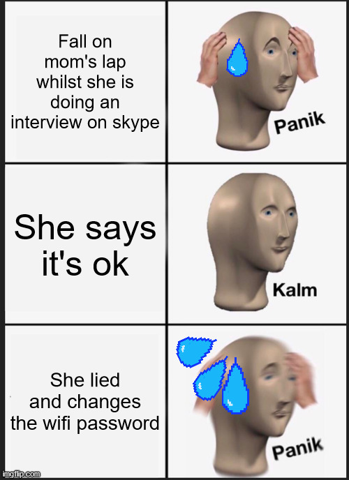 funny | Fall on mom's lap whilst she is doing an interview on skype; She says it's ok; She lied and changes the wifi password | image tagged in memes,panik kalm panik | made w/ Imgflip meme maker