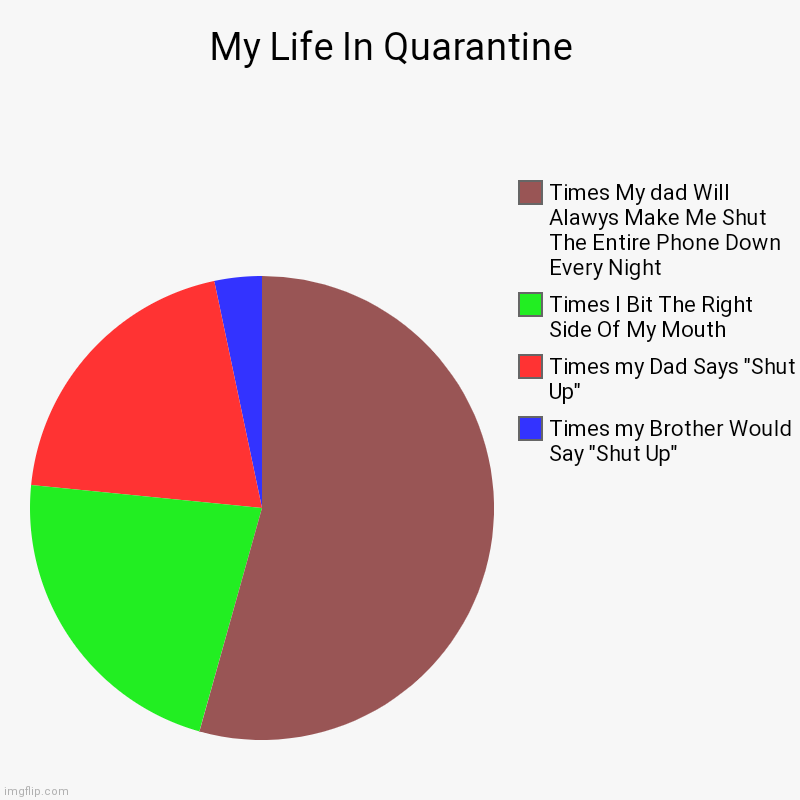 My Life In Quarantine  | Times my Brother Would Say "Shut Up", Times my Dad Says "Shut Up", Times I Bit The Right Side Of My Mouth, Times My | image tagged in charts,pie charts | made w/ Imgflip chart maker