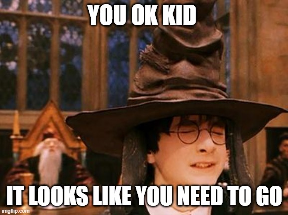 harry popper | YOU OK KID; IT LOOKS LIKE YOU NEED TO GO | image tagged in harry potter hat | made w/ Imgflip meme maker