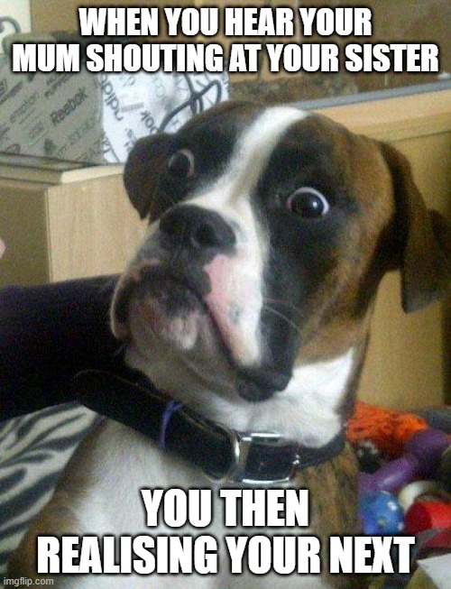 Blankie the Shocked Dog | WHEN YOU HEAR YOUR MUM SHOUTING AT YOUR SISTER; YOU THEN REALISING YOUR NEXT | image tagged in blankie the shocked dog | made w/ Imgflip meme maker
