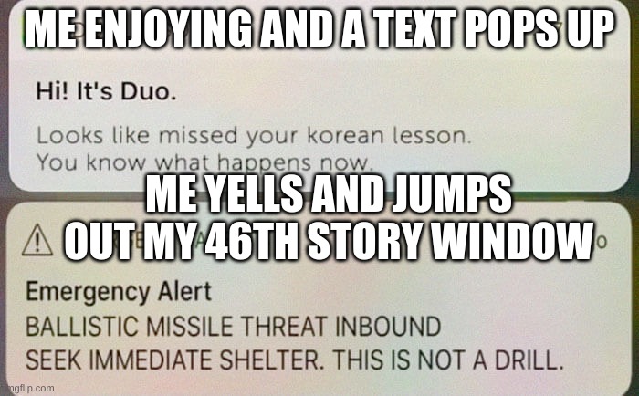 DuoLingo | ME ENJOYING AND A TEXT POPS UP; ME YELLS AND JUMPS OUT MY 46TH STORY WINDOW | image tagged in duolingo | made w/ Imgflip meme maker
