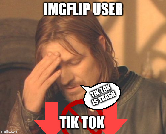 tik tok trash |  IMGFLIP USER; TIK TOK IS TRASH; TIK TOK | image tagged in memes,frustrated boromir,tik tok | made w/ Imgflip meme maker