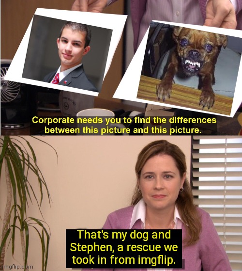 They're The Same Picture Meme | That's my dog and
Stephen, a rescue we
took in from imgflip. | image tagged in memes,they're the same picture | made w/ Imgflip meme maker