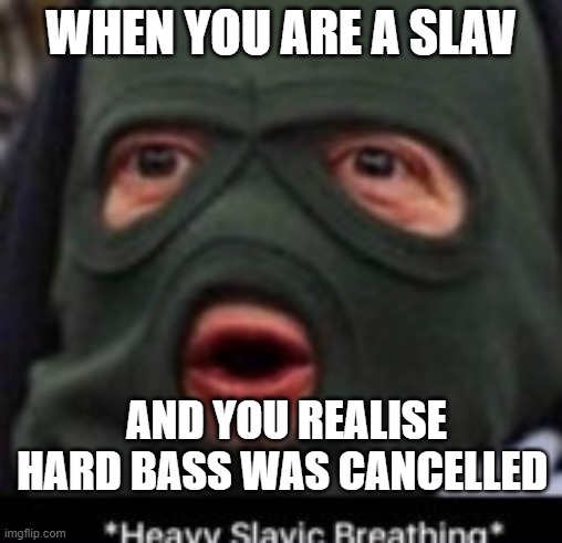 meme | WHEN YOU ARE A SLAV; AND YOU REALISE HARD BASS WAS CANCELLED | image tagged in memes | made w/ Imgflip meme maker