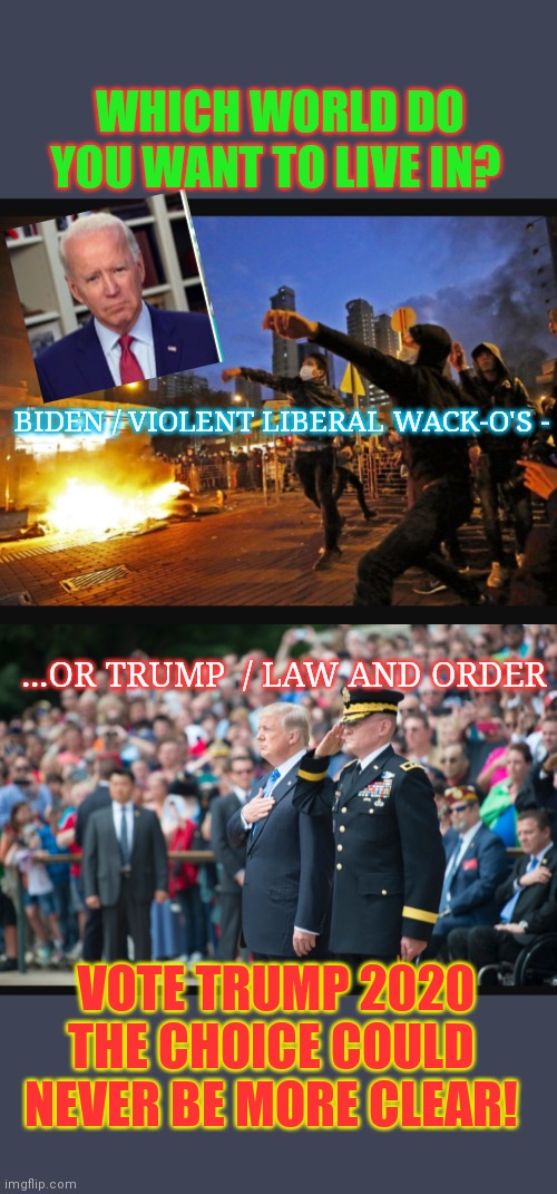 VOTE REPUBLICAN BECAUSE DEMS SUCK | WHICH WORLD DO YOU WANT TO LIVE IN? BIDEN / VIOLENT LIBERAL WACK-O'S -; ...OR TRUMP  / LAW AND ORDER; VOTE TRUMP 2020 THE CHOICE COULD NEVER BE MORE CLEAR! | image tagged in stupid liberals,democratic socialism,losers,democratic party,criminals,ConservativeMemes | made w/ Imgflip meme maker