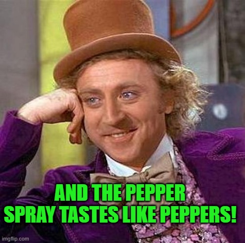 Creepy Condescending Wonka Meme | AND THE PEPPER SPRAY TASTES LIKE PEPPERS! | image tagged in memes,creepy condescending wonka | made w/ Imgflip meme maker