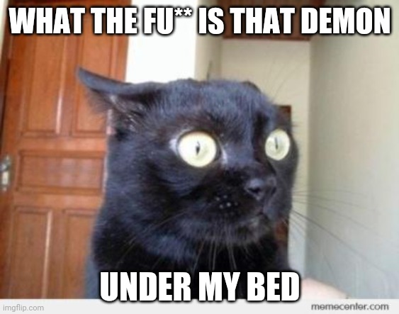 Scared Cat | WHAT THE FU** IS THAT DEMON; UNDER MY BED | image tagged in scared cat | made w/ Imgflip meme maker