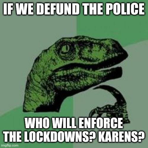 Time raptor  | IF WE DEFUND THE POLICE; WHO WILL ENFORCE THE LOCKDOWNS? KARENS? | image tagged in time raptor | made w/ Imgflip meme maker