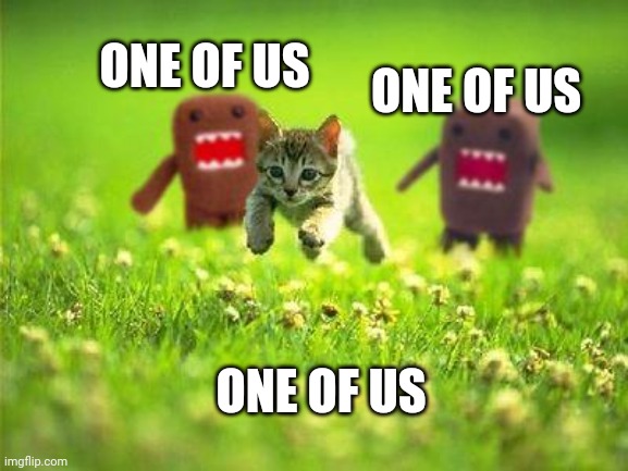 Every time...a cat dies | ONE OF US; ONE OF US; ONE OF US | image tagged in every timea cat dies | made w/ Imgflip meme maker