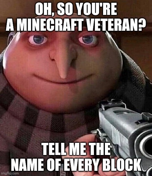 Gru with Gun | OH, SO YOU'RE A MINECRAFT VETERAN? TELL ME THE NAME OF EVERY BLOCK | image tagged in gru with gun | made w/ Imgflip meme maker