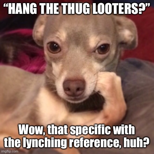 Things that make you go hmmm | “HANG THE THUG LOOTERS?”; Wow, that specific with the lynching reference, huh? | image tagged in condescendingchihuahua,thug,looters,lynch,execution,hanging | made w/ Imgflip meme maker