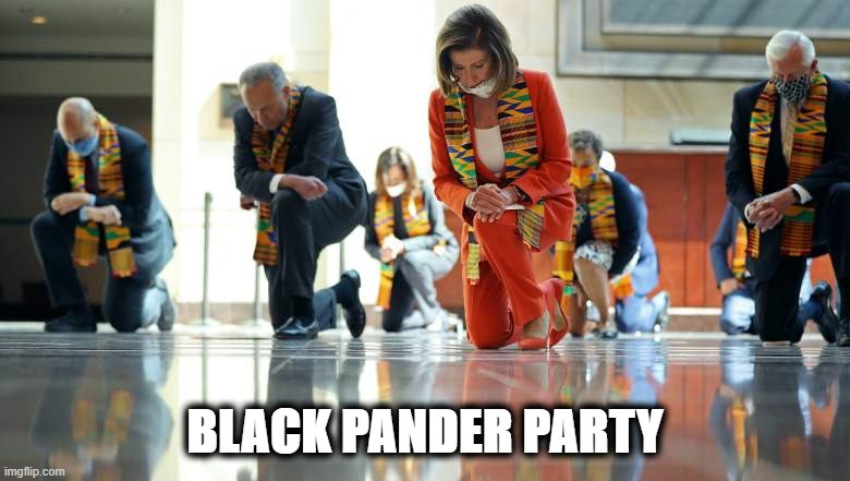 BLACK PANDER PARTY | image tagged in pelosi,black panther,wakanda,dnc | made w/ Imgflip meme maker