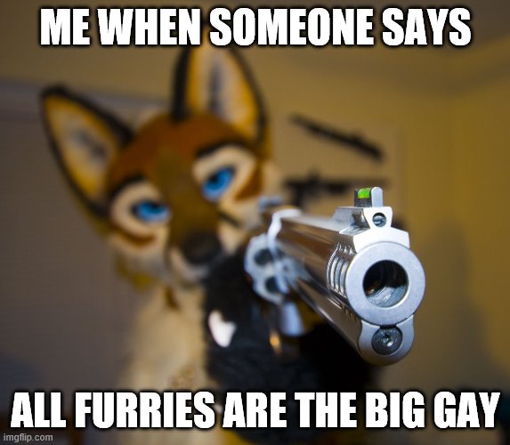 furries arne't the big gay | ME WHEN SOMEONE SAYS; ALL FURRIES ARE THE BIG GAY | image tagged in furry with gun | made w/ Imgflip meme maker