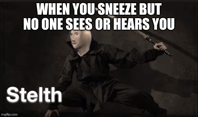 stelth | WHEN YOU SNEEZE BUT NO ONE SEES OR HEARS YOU | image tagged in meme man stelth,memes | made w/ Imgflip meme maker