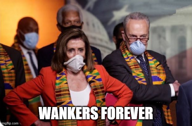 Hey, Its Pander Express! | WANKERS FOREVER | image tagged in black panther,nancy pelosi,chuck schumer,donald trump | made w/ Imgflip meme maker
