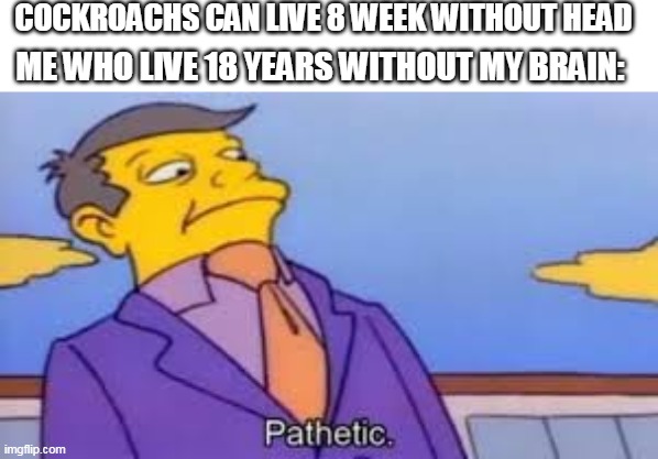 pathetic | COCKROACHS CAN LIVE 8 WEEK WITHOUT HEAD; ME WHO LIVE 18 YEARS WITHOUT MY BRAIN: | image tagged in pathetic | made w/ Imgflip meme maker