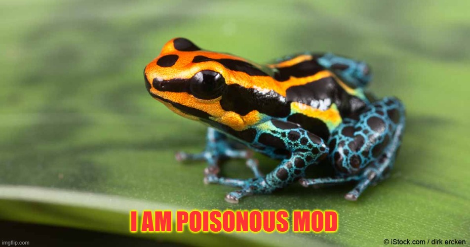 poison dart frog | I AM POISONOUS MOD | image tagged in poison dart frog | made w/ Imgflip meme maker