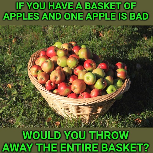 Then why would you defund and eliminate an entire police force over a few bad cops? | IF YOU HAVE A BASKET OF APPLES AND ONE APPLE IS BAD; WOULD YOU THROW AWAY THE ENTIRE BASKET? | image tagged in apples,cops,corruption | made w/ Imgflip meme maker