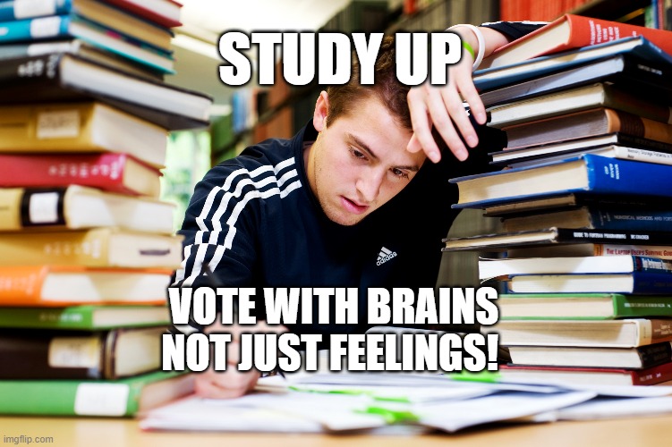 Studying | STUDY UP; VOTE WITH BRAINS NOT JUST FEELINGS! | image tagged in studying | made w/ Imgflip meme maker