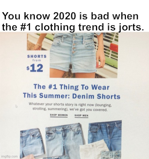 Jorts | You know 2020 is bad when the #1 clothing trend is jorts. | image tagged in jorts,2020 | made w/ Imgflip meme maker
