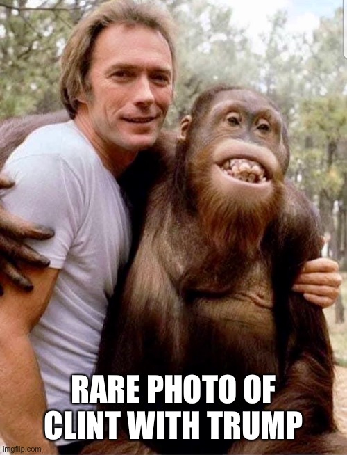 Clint with Trump | RARE PHOTO OF CLINT WITH TRUMP | image tagged in donald trump,funny,trump | made w/ Imgflip meme maker