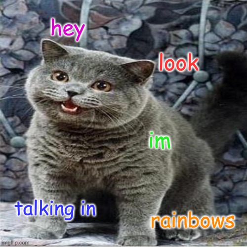 A cat has taken over the meme | hey; look; im; talking in; rainbows | image tagged in i had to put a tag here so yeah,meow | made w/ Imgflip meme maker