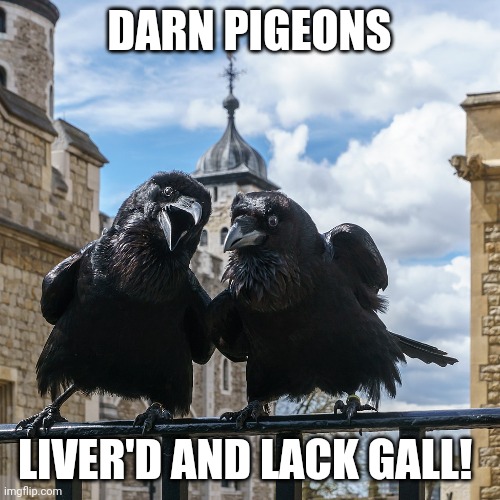 Ravens go Shakespearean | DARN PIGEONS; LIVER'D AND LACK GALL! | image tagged in ravens1 | made w/ Imgflip meme maker