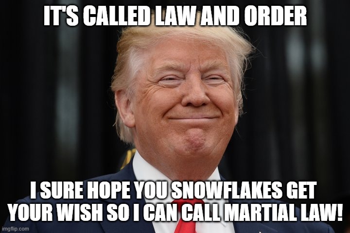 IT'S CALLED LAW AND ORDER I SURE HOPE YOU SNOWFLAKES GET 
YOUR WISH SO I CAN CALL MARTIAL LAW! | made w/ Imgflip meme maker