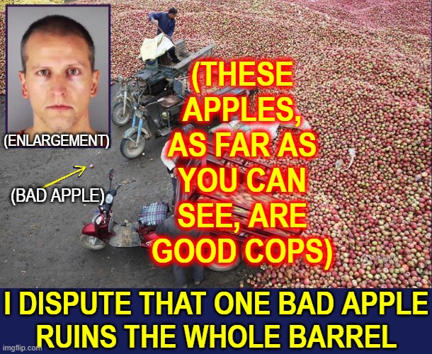 Derek Chauvin committed a horrible crime. Most Cops are Heroes! | (THESE APPLES, AS FAR AS YOU CAN SEE, ARE GOOD COPS); (ENLARGEMENT); (BAD APPLE); I DISPUTE THAT ONE BAD APPLE
RUINS THE WHOLE BARREL | image tagged in vince vance,police brutality,good,policeman,bad apple,memes | made w/ Imgflip meme maker
