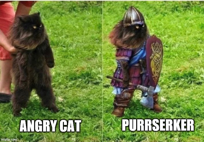 Purrserker | PURRSERKER; ANGRY CAT | image tagged in cat,viking | made w/ Imgflip meme maker