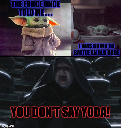 The force once told me | THE FORCE ONCE TOLD ME . . . I WAS GOING TO BATTLE AN OLD DUDE; YOU DON'T SAY YODA! | image tagged in darth sidious,woman screaming at baby yoda,sad baby yoda | made w/ Imgflip meme maker