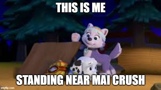 Everest And Marshall PAW Patrol | THIS IS ME; STANDING NEAR MAI CRUSH | image tagged in everest and marshall paw patrol,paw patrol,lol,lol so funny,lol guy | made w/ Imgflip meme maker