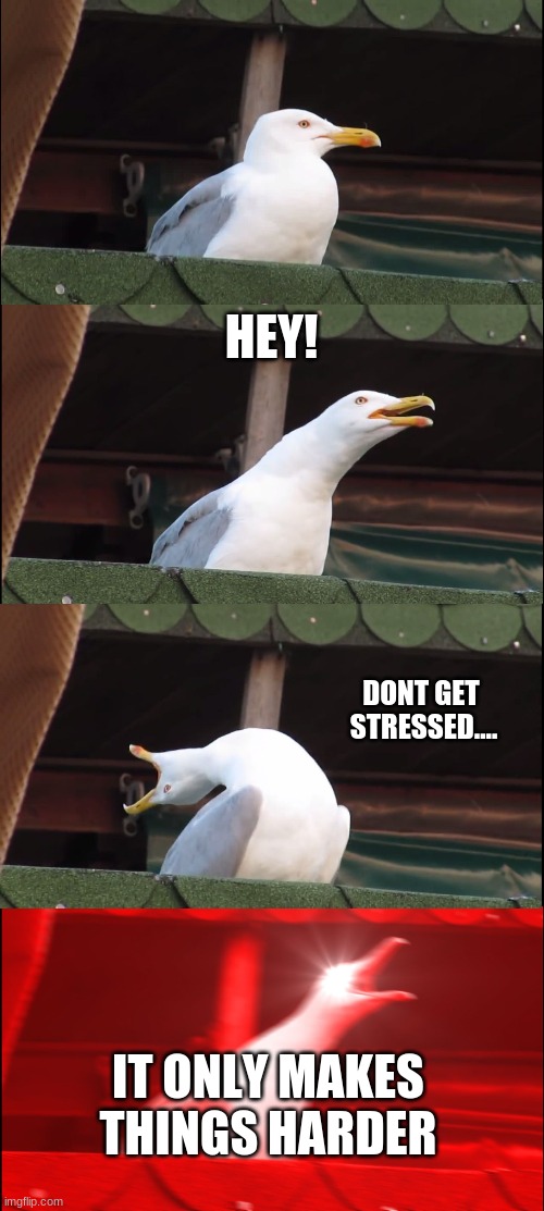 Inhaling Seagull | HEY! DONT GET  STRESSED.... IT ONLY MAKES THINGS HARDER | image tagged in memes,inhaling seagull | made w/ Imgflip meme maker