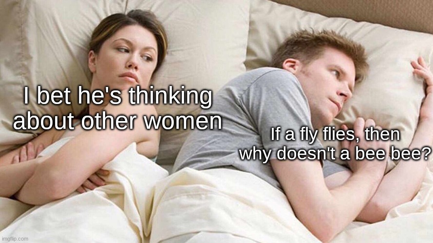 Never thought about that until now | I bet he's thinking about other women; If a fly flies, then why doesn't a bee bee? | image tagged in i bet he's thinking about other women | made w/ Imgflip meme maker